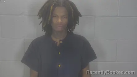 Mugshot of Joshua Jay Williams-Taylor