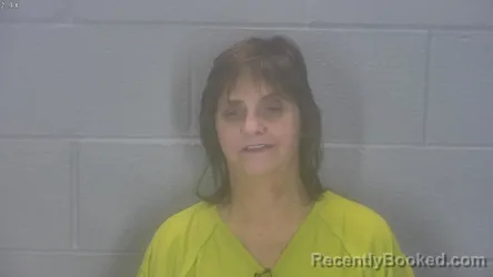 Mugshot of Robin Renee Wasson