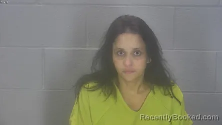 Mugshot of Lisyoa Alonso