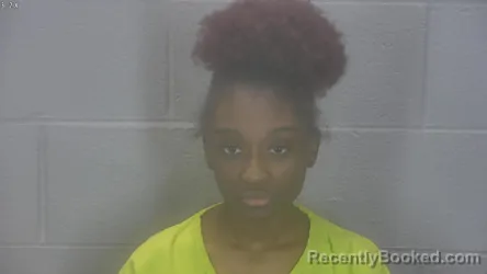 Mugshot of Ilena Fayne-Wandzia Brewster