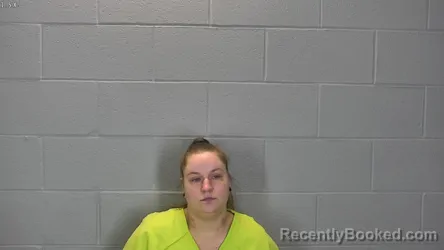 Mugshot of Anissa Lee Balbaky