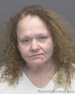 Mugshot of DAWN MARIE ROBB