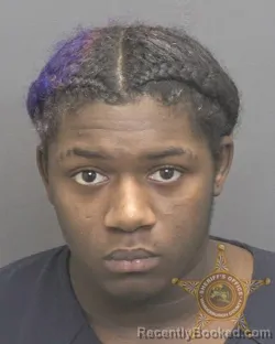 Mugshot of TREVON CORDELL MCGEE