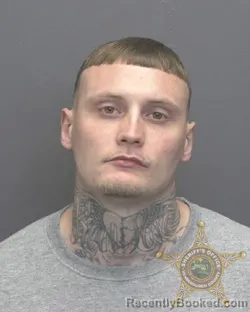 Mugshot of DYLAN MICHAEL STEPRO