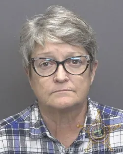 Mugshot of REBECCA SUE LAINE