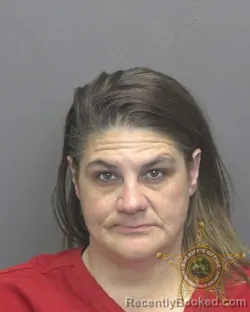 Mugshot of TERESA JO SNYDER