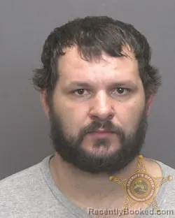 Mugshot of IAN MATTHEW MCDOWELL