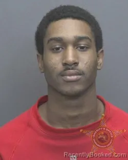 Mugshot of KAVORIANTE NEKO OUTLAW