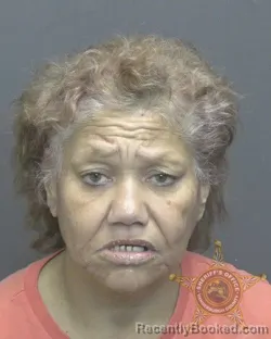 Mugshot of DIANE RENE FLORES