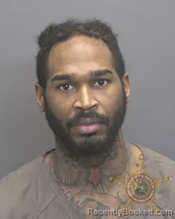 Mugshot of STACEY ALLEN GROVES