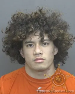 Mugshot of JUDE D NGUYEN