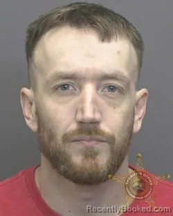 Mugshot of DYLAN JAMES REARDON