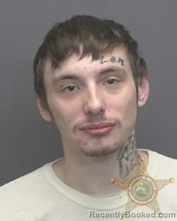 Mugshot of BRAELYN JARETT HUEBNER