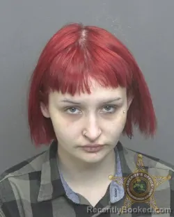 Mugshot of ANYA ROSE WALKER