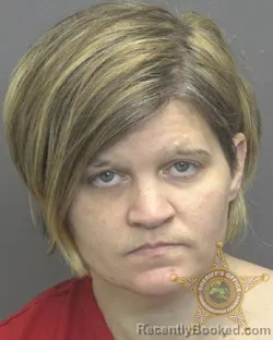 Mugshot of ANGIE DEANN MITCHELL