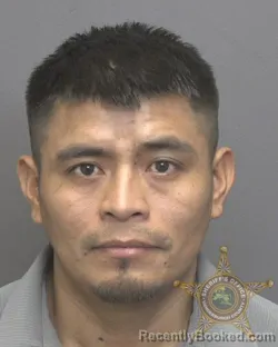 Mugshot of CHRISTIAN PASCAUL ZARATE
