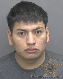 Mugshot of VIDAL SANTIAGO DE JESUS SALINAS