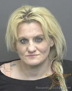 Mugshot of BROOKLYNN JETT MEEKS