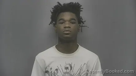 Booking photo from Vigo County, Indiana