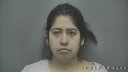 Mugshot of Claudia Flores