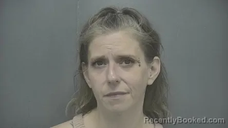 Mugshot of Nina N Wilds