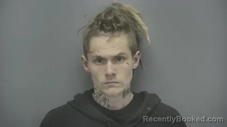 Mugshot of Ryann Phillip Davidson