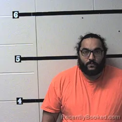 Mugshot of ARMANDO ALANIZ