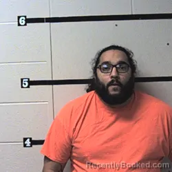 Mugshot of ARMANDO ALANIZ