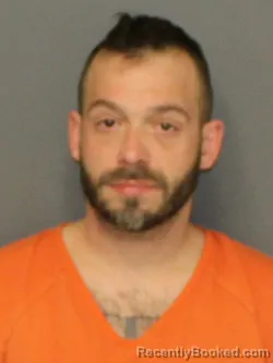 Mugshot of BRANDON MICHAEL LEEDS