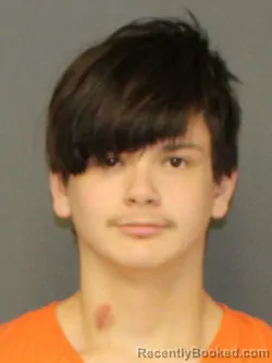 Mugshot of MICHAEL ANDREZ PICHE-PERKINS