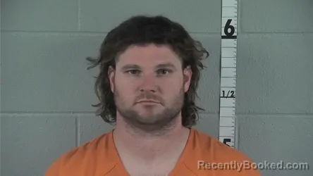 Mugshot of LANDON ZANE MCPHEETERS