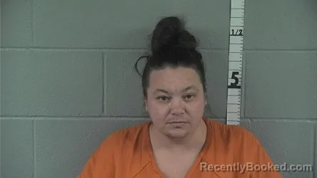 Mugshot of STEPHANIE ANN HOLMAN