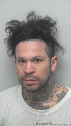 Mugshot of RICARDO FELIX BUSTOS