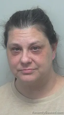 Mugshot of Amanda Ann Rayn