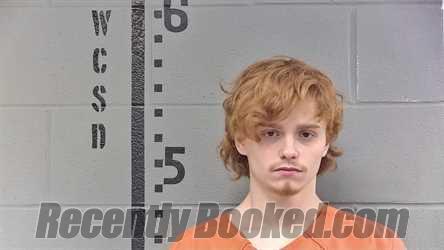 Booking photo from White County, Indiana