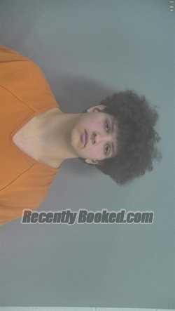 Booking photo from Whitley County, Indiana