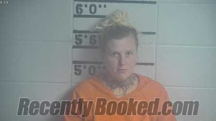 Mugshot of BRIANNA M COVEY
