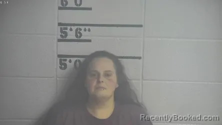 Mugshot of JOANNA MAXINE LOGSDON