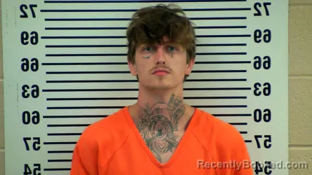 Mugshot of ANDREW GRAHAM