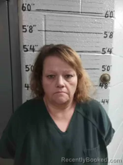 Mugshot of AMY DILLARD