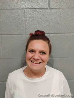 Mugshot of JOHNETTE PORTER