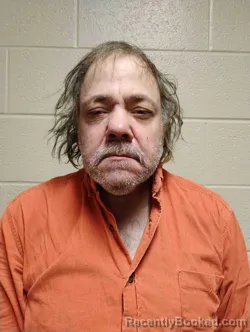 Mugshot of JASON LEE