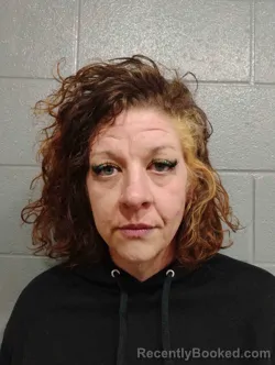 Mugshot of TERIANN CHRISTENSEN