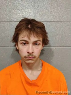 Mugshot of JUSTIN BROWN