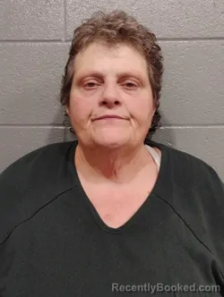 Mugshot of LANA OWENS