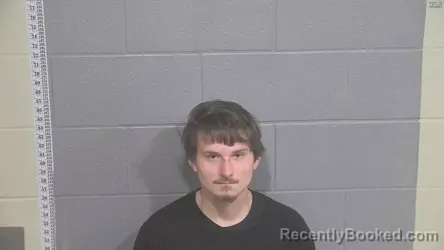 Mugshot of ELISHA INGRAM