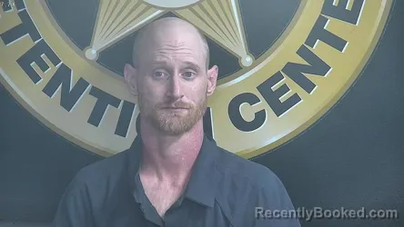 Mugshot of RYAN HOSKINS