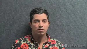 Mugshot of OTILIO ALFARO MONTES