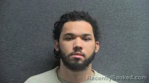 Mugshot of JOSIAH D WALLACE