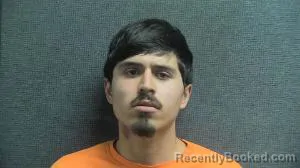 Mugshot of NELSON TREJO ESPINOZA